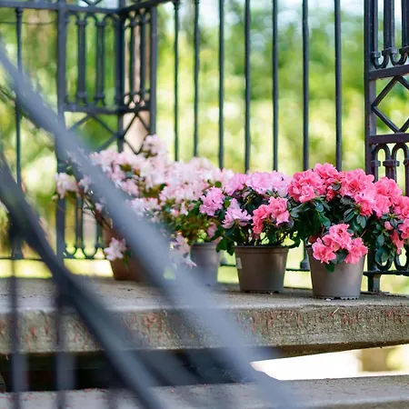 Il Sussurro Delle Colline - Ca Bianca